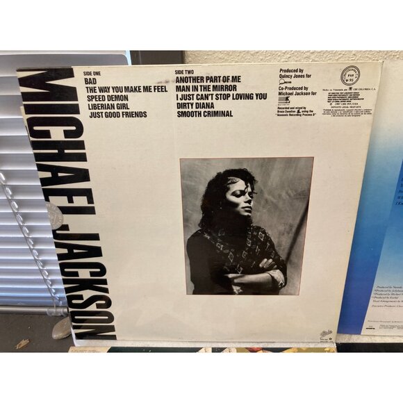 6Pcs Vinyl Records Whitney Houston, Bad by Michael Jackson, Madonna, Stevie Wand - Picture 14 of 14